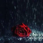 دنیامو دادم دست تو که باشی دنیام تو فقط