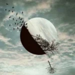 امشب شب مهتابه حبیبم رو میخوام حمیرا