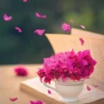 گل اومد بی وفایی یادم اومد با صدای زن