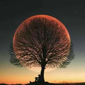 دانلود آهنگ من دیگه گذشته اب از سرم هایده