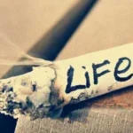 حقه ندی به شیر شغال