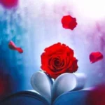 صدام کن که دوباره بشم عاشق عاشق ریمیکس