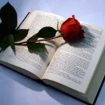 صدام کن که دوباره بشم عاشق عاشق