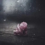 نبینمت شادمهر عقیلی