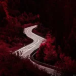 آخه یارم رنگ موهاش مشکی کلاغی بود