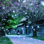 چاقوم زیر گلوتونه سرا بالا