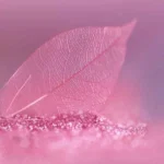 هر چی بگی روی چشم معین