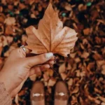 منو دنبال خودت به هر طرف میکشونی نوش آفرین