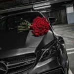 نور از دل عالم رفت ریمیکس راشد تند بیس دار