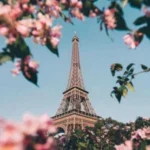 سیسا حبس داره بیتا دست سازه