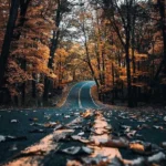 تو اگه با من قهری من که آشتی ام