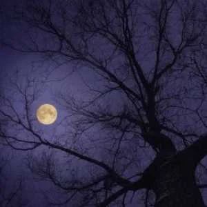 دانلود آهنگ ونا و قورستان قلبم بکم چالت