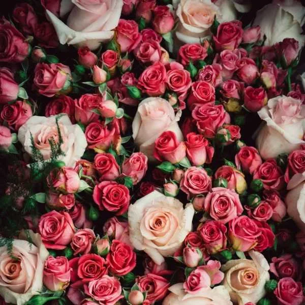 دانلود آهنگ آشنای من من غریبم بی تو با صدای زن