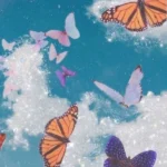امشب رو رواله برنامه به راهه