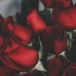 ممزی میاد با یه ماماسیتا