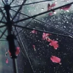 تموم میکنم این داستانو تش یه روزی تو میدی کارماشو پس