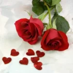 تب و تب در زدم با صدای زن