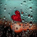 تق تق در زدم با دست پر اومدم هایده