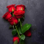 یار مو زیتونی دختر گندم گون معین