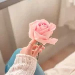 دیدوم کی بنسیز با صدای زن