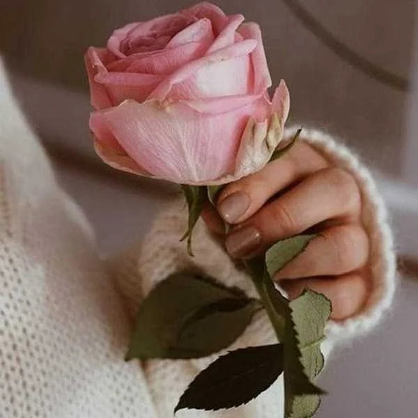 دانلود آهنگ ندونسته دلمو به غریبه سپردم با صدای زن دانلود آهنگ ندونسته دلمو به غریبه سپردم با صدای زن