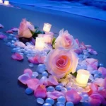 تق و تق در زدم دست پر اومدم