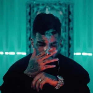 بزودی امیر راهی دتر