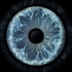 کاش یه بار دیگه چشماتو وقت رفتن میدیدم