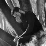 میترسم دلت چهار فصلو واسم زمستون کنه