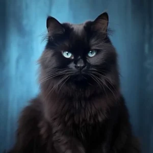 آهنگ از همشون تا بیخ کندم چون هرکی اومد دلمو اتیش زد