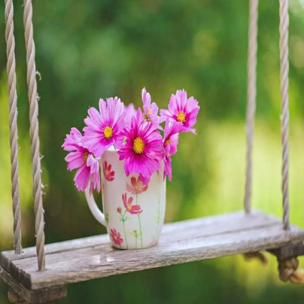 دانلود آهنگ تا از در اومد بوی گل اومد