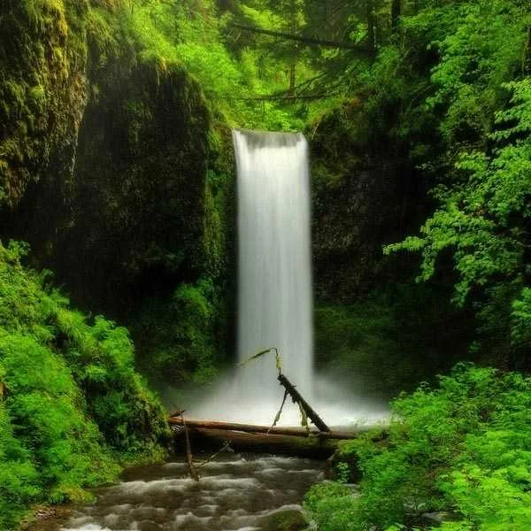 دانلود آهنگ طبیعت سر لج ورداشته با من ریمیکس