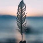 بال پرواز منو پس بدین