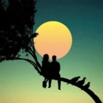 عشق تو خوابی بود و بس