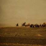 کاروان آرام قدری آهسته