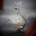 ریمیکس مهدیار و دانیال و بیبال و فرشاد کادو 2