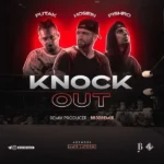 ریمیکس رضا پیشرو و پوتک و حصین ناک اوت