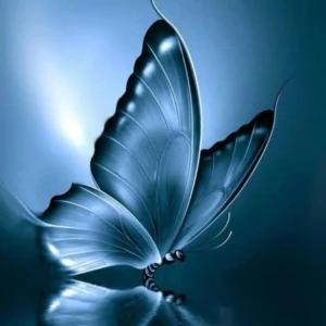 آهنگ سارن ممنتو