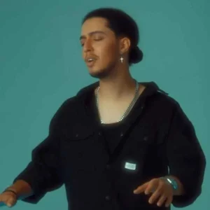 آهنگ امیر خوشنگار دروغ گفتی