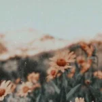 دل دید و پسندید و اسیر شد