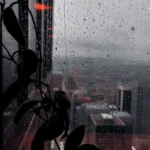 منم سرگشته حیرانت ای دوست هوش مصنوعی