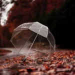 ببار ای نم نم باران