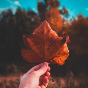 بزودی فاطمه مهلبان خزون