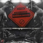 ریمیکس سورنا و پیشرو و حصین و فرشاد راز پنهان hidden secret