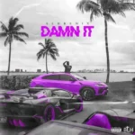 ریمیکس Damn It از تایگا و 021کید و پایا و بهزاد لیتو و سپهر خلسه