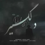 ریمیکس امیر لیام و مهراب دلگیر