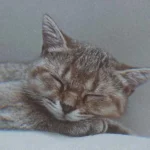 از وقتی که یادم میاد میگفتی دورت ادم زیاد