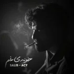 ریمیکس بهرام و بیبال و سورنا و حصین و شایع خونه ی غم