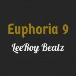 ریمیکس لیروی بیتز یوفوریا 9