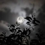 یادمه باهات کلی شب صبح شدن